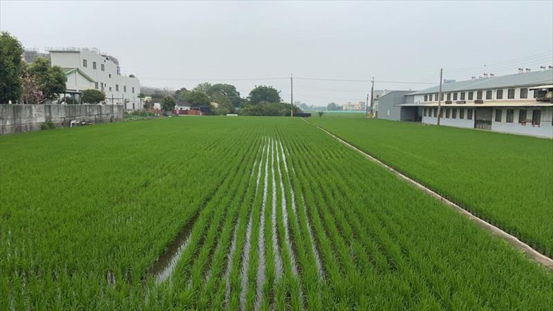 生產者圖片