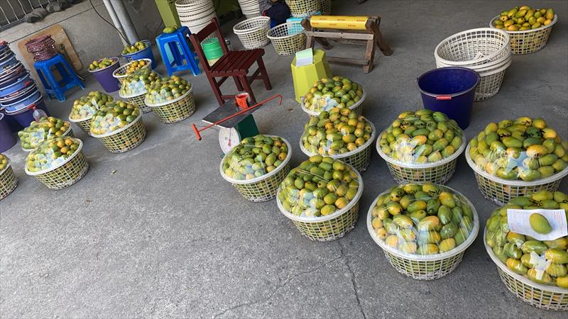 生產者圖片