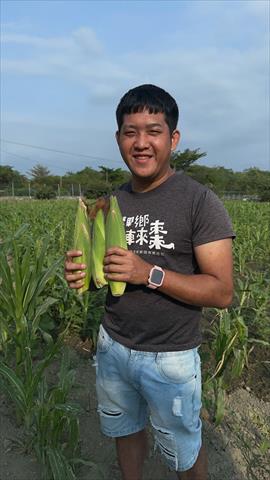 生產者圖片