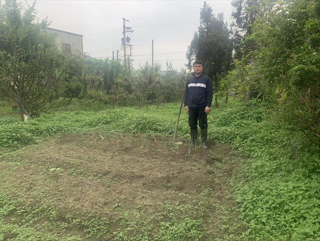生產者圖片