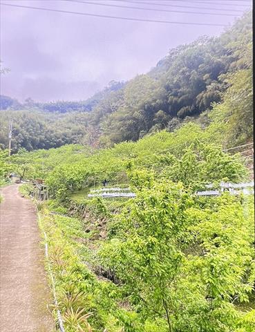 生產者圖片