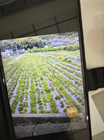 生產者圖片