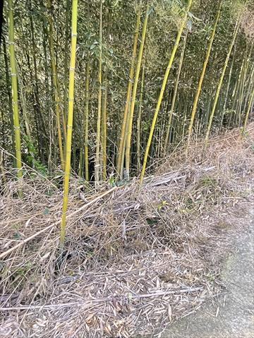 生產者圖片