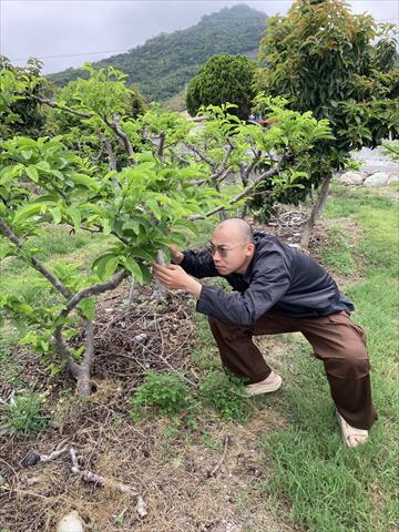 生產者圖片