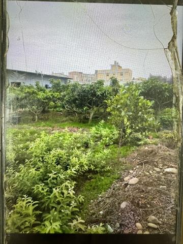 生產者圖片