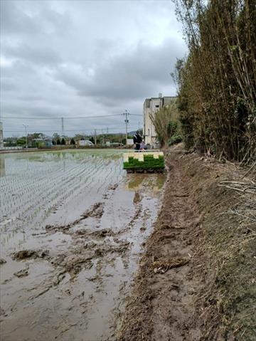 生產者圖片