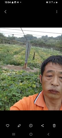生產者圖片