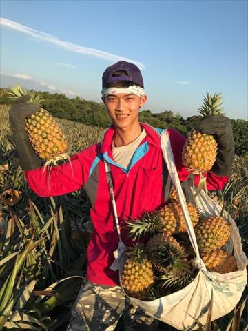 生產者圖片