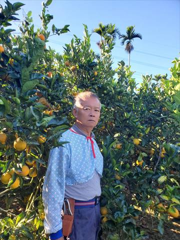 生產者圖片