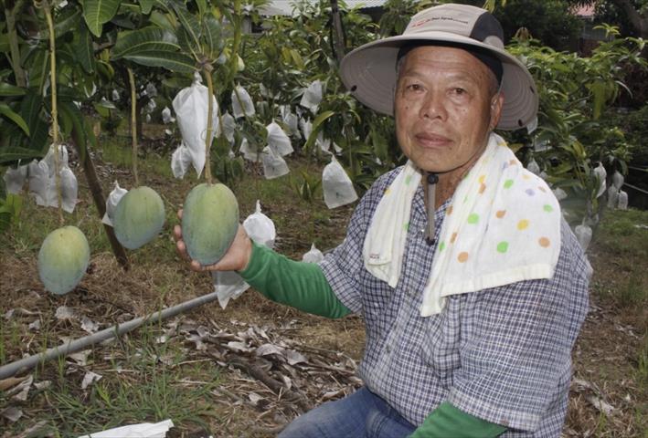生產者圖片