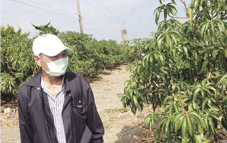 生產者圖片