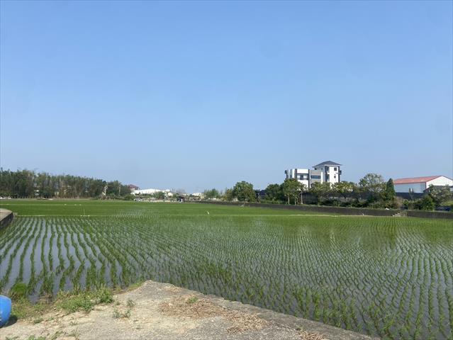 生產者圖片