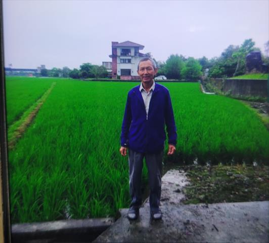 生產者圖片