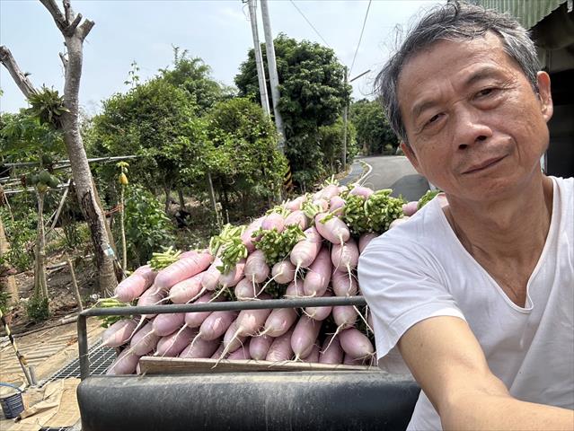 生產者圖片
