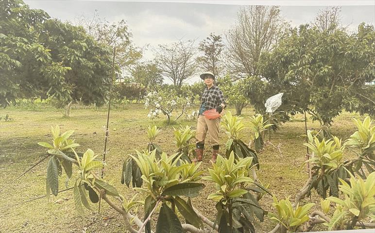 生產者圖片