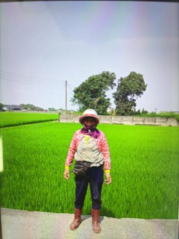生產者圖片