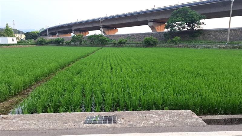 生產者圖片