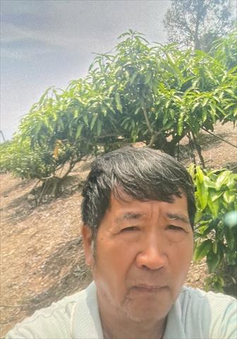生產者圖片