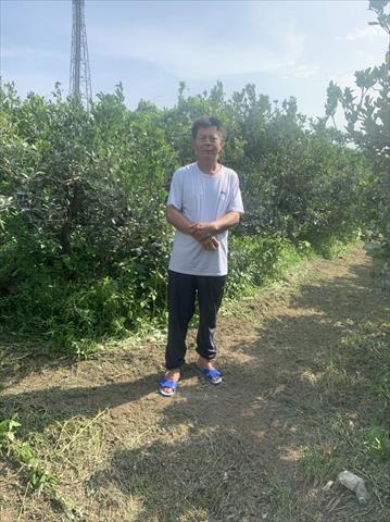 生產者圖片