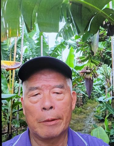 生產者圖片