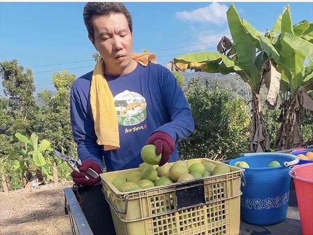 生產者圖片