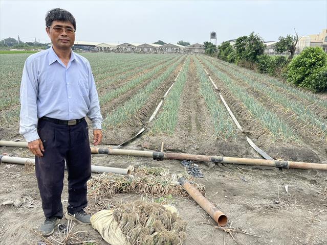 生產者圖片