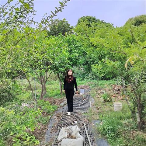 生產者圖片