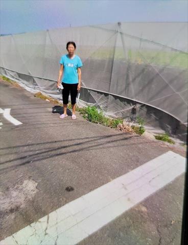 生產者圖片