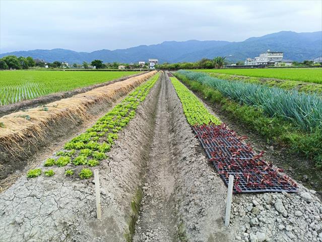 生產者圖片