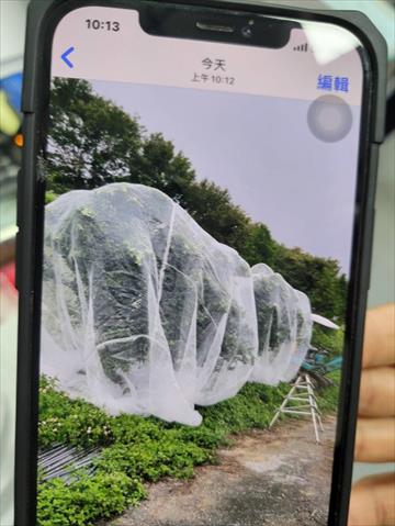 生產者圖片