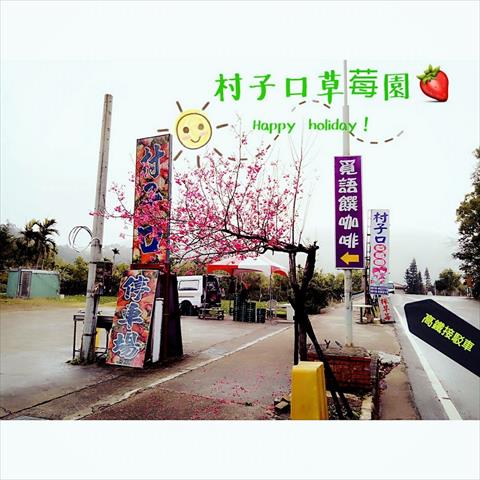 生產者圖片