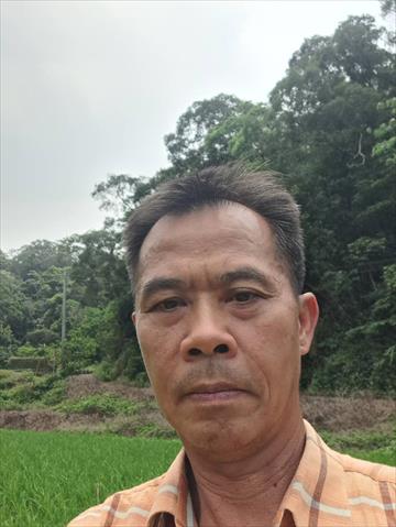 生產者圖片