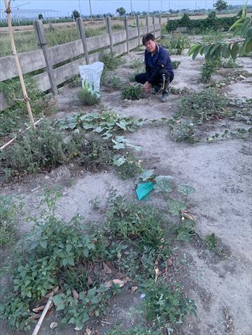 生產者圖片