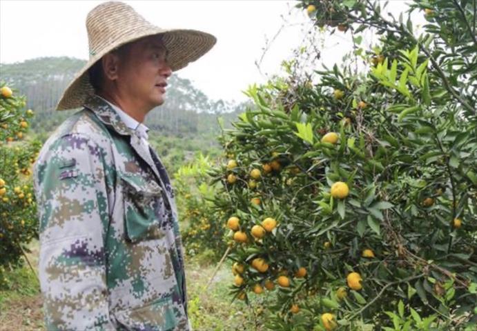 生產者圖片