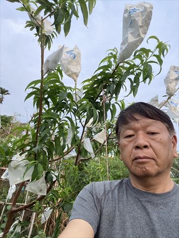 生產者圖片