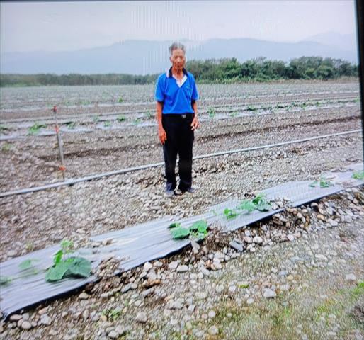 生產者圖片