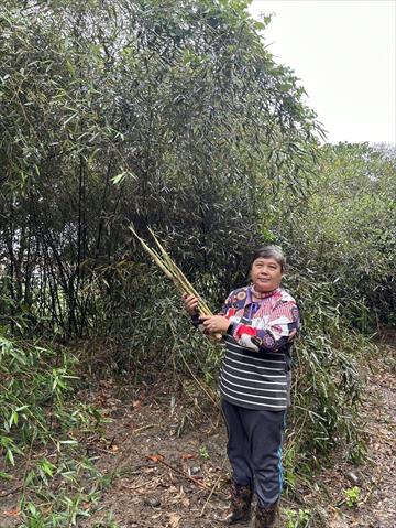 生產者圖片