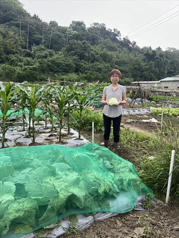 生產者圖片
