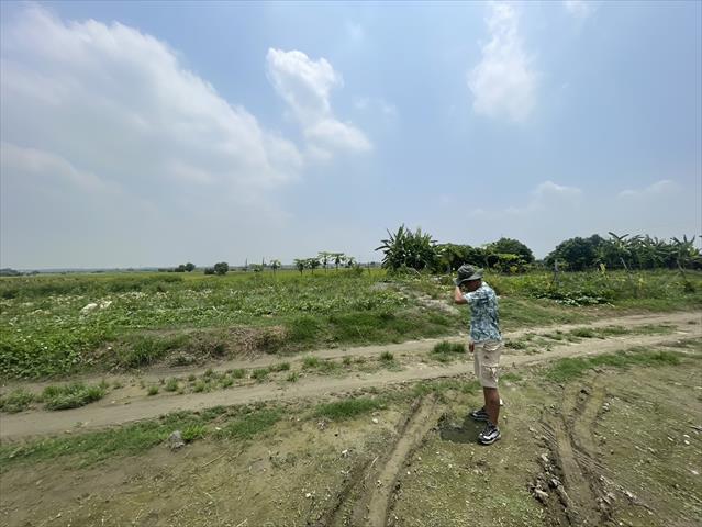 生產者圖片