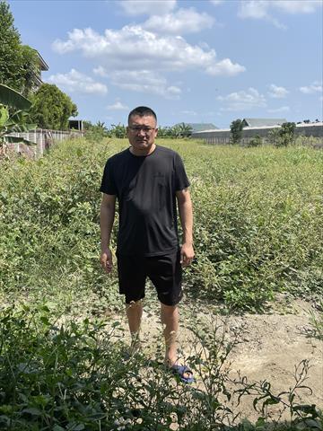 生產者圖片