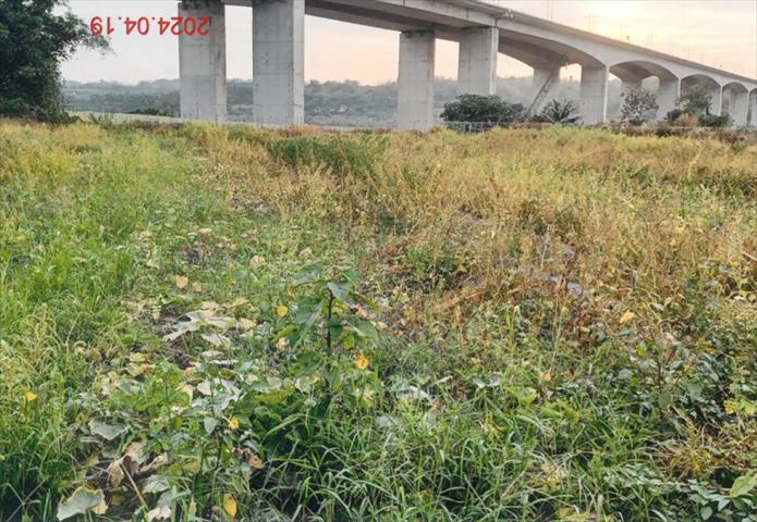 生產者圖片