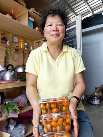 生產者圖片