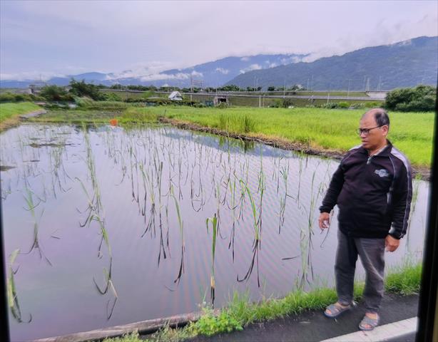 生產者圖片