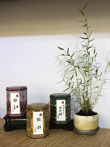 生產者圖片