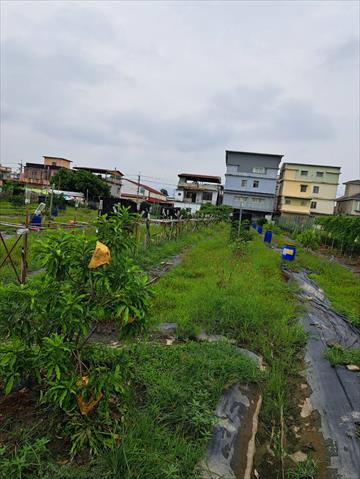 生產者圖片