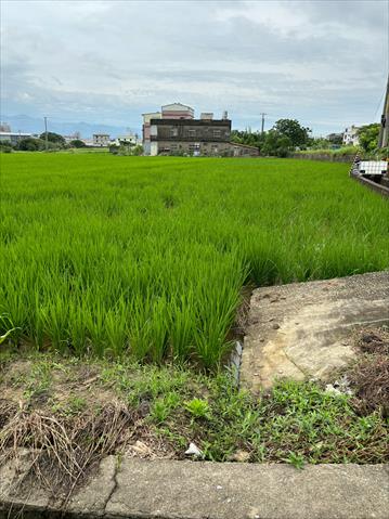 生產者圖片