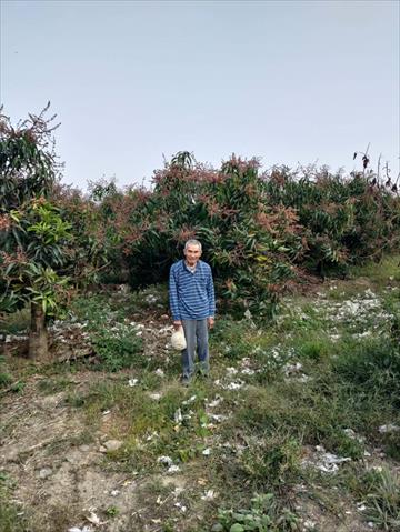 生產者圖片