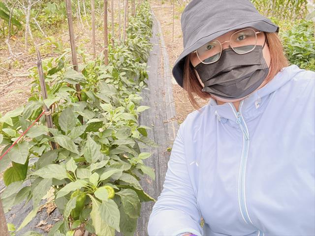 生產者圖片