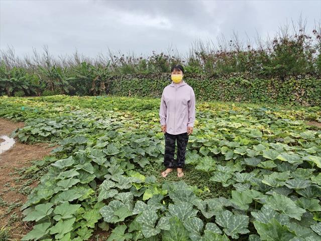 生產者圖片