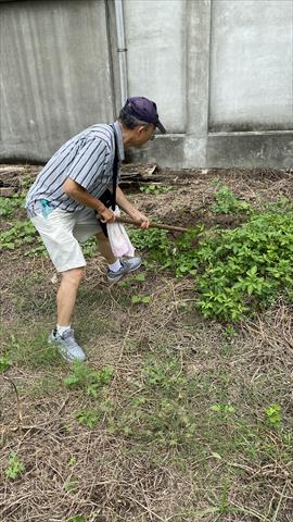 生產者圖片